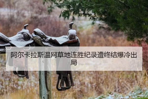 a-er-ka-la-si-wen-wang-cao-di-lian-sheng-ji-lu-zao-zhong-jie-bao-leng-chu-ju-2-770.jpg