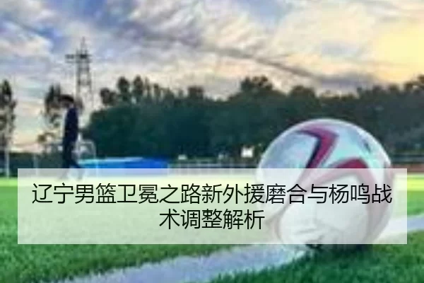liao-ning-nan-lan-wei-mian-zhi-lu-xin-wai-yuan-mo-he-yu-yang-ming-zhan-shu-tiao-zheng-jie-xi-3-408.jpg