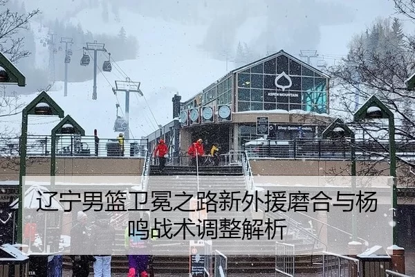辽宁男篮卫冕之路新外援磨合与杨鸣战术调整解析