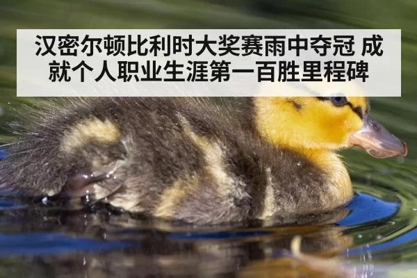 汉密尔顿比利时大奖赛雨中夺冠 成就个人职业生涯第一百胜里程碑