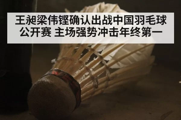 王昶梁伟铿确认出战中国羽毛球公开赛 主场强势冲击年终第一