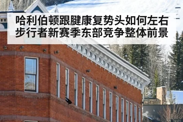 哈利伯顿跟腱康复势头如何左右步行者新赛季东部竞争整体前景