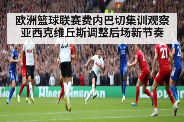 欧洲篮球联赛费内巴切集训观察 亚西克维丘斯调整后场新节奏